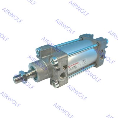 RA/8080/M/600 RA/8080/M/700 RA/8080/M/800 IMI Norgren Double-Acting Cylinder