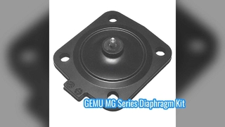 GEMU MG8 MG10 MG25 MG40 MG50 MG65 MG80 MG100 GEMU 다이어프램 밸브용 EPDM FDA 다이어프램 키트