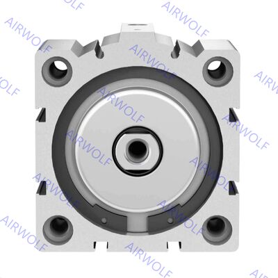 AEVC-100-10-A-P-A AEVC-100-25-A-P-A AEVC-100-10-I-P-A AEVC-100-25-I-P-A Festo 단동식 숏 스트로크 실린더